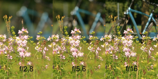 14800177831_fe61c16363_b